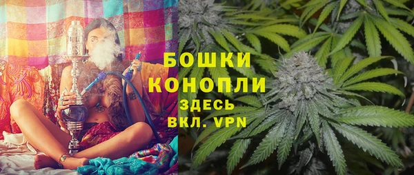 дмт Горнозаводск