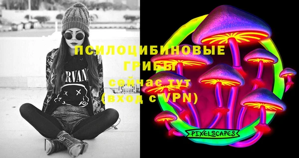 дмт Горнозаводск