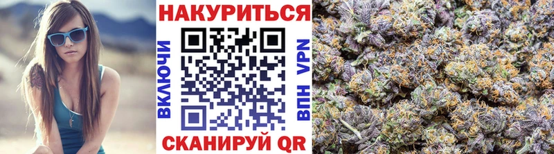 Бошки Шишки план  Купить  Клинцы 